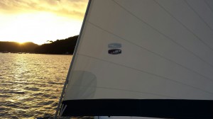 Fusion 40 Catamaran Sails